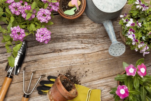 Professionals performing garden clearance in Hendon