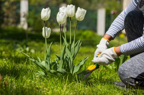 Gardening Hendon team assessing a front garden before work