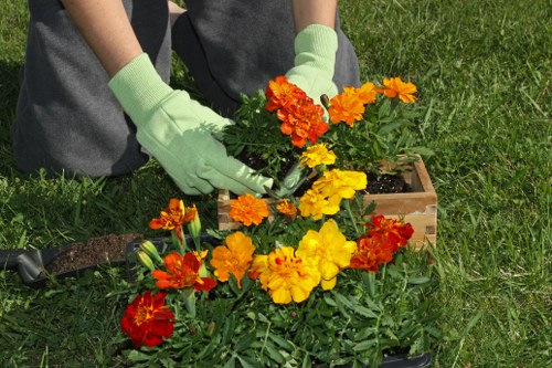 Expert gardeners maintaining a lush Hendon garden