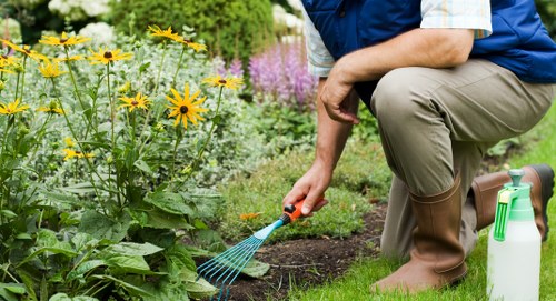 Seasonal garden maintenance activities in Hendon