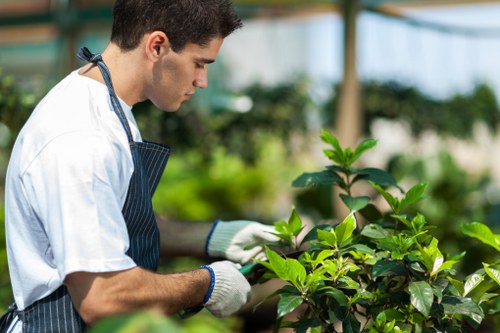Gloved hands holding protective gardening tools and PPE