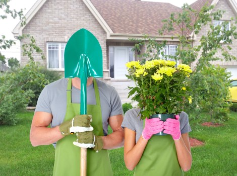 Neatly cleared garden enhancing property appeal
